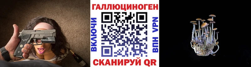 Галлюциногенные грибы Psilocybe  магазин  наркотиков  Давлеканово 