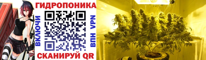 Конопля ГИДРОПОН  где купить наркоту  Давлеканово 